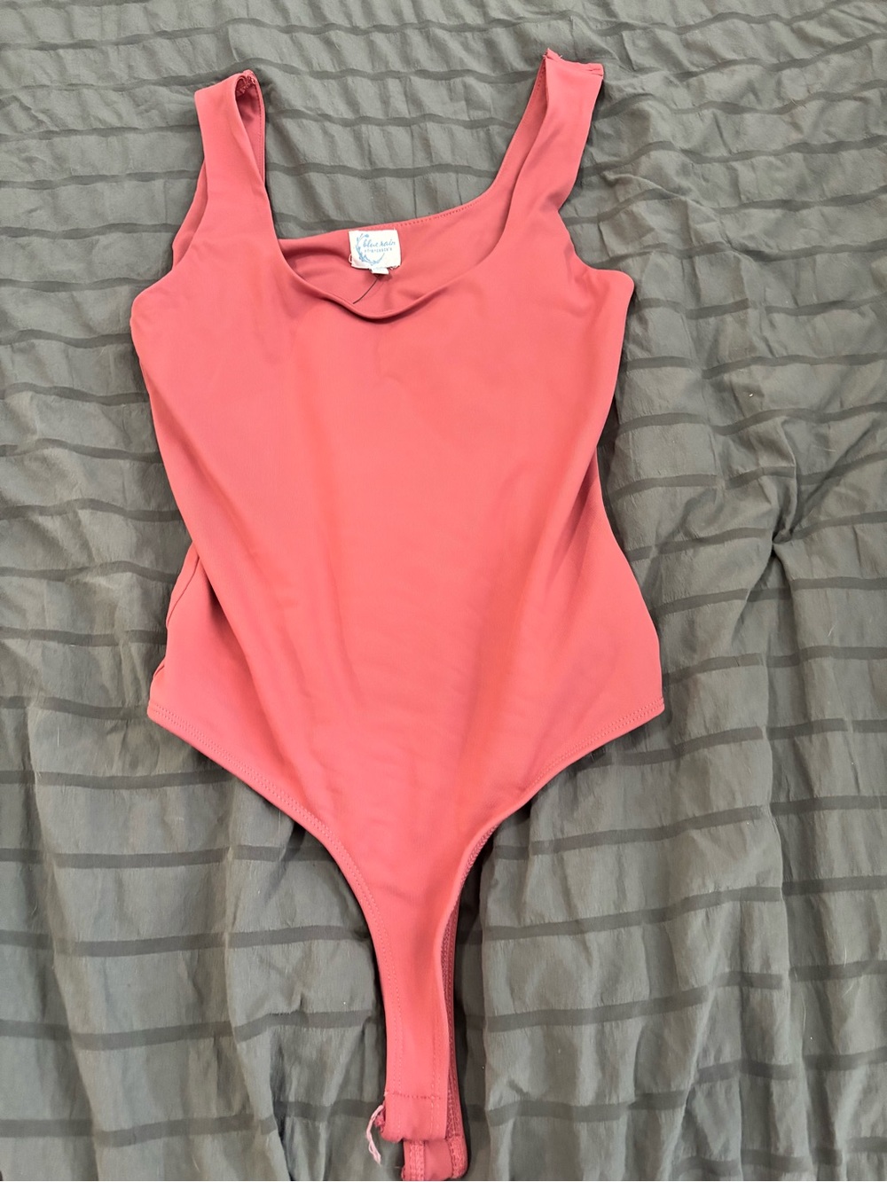 Francesca's Blue Rain Mauve One-Piece Swimsuit